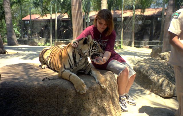 Ivča s tygrem
